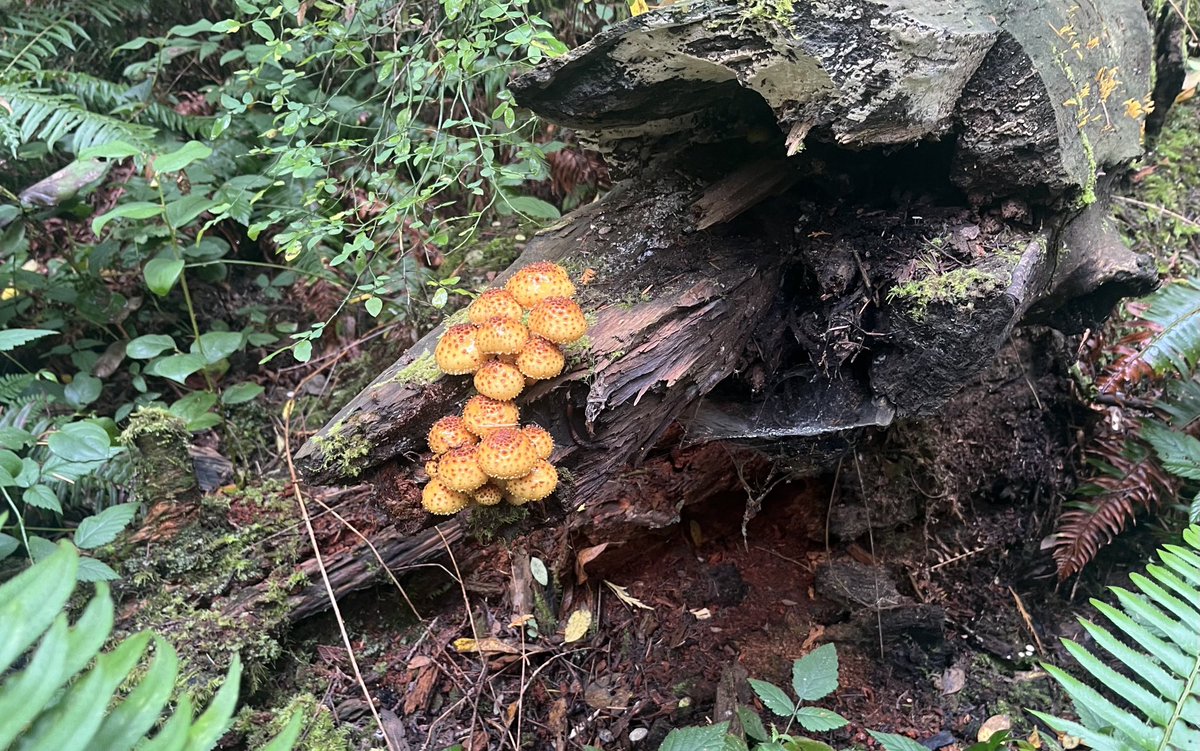 Gary Chittim tweet media