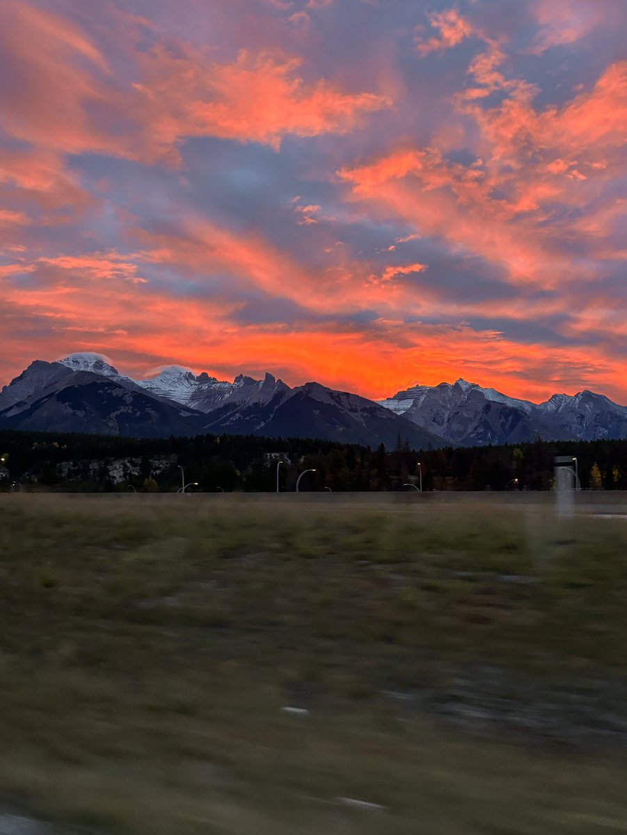 住んでいる町の朝が綺麗すぎる
📍バンフ, カナダ🇨🇦