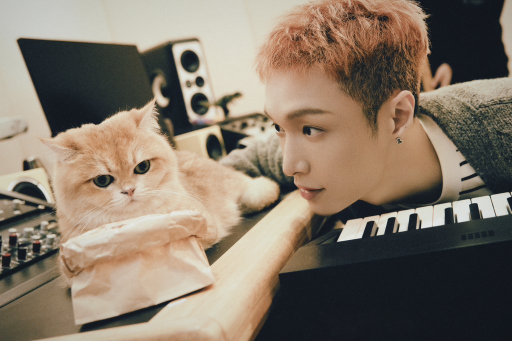Lay Zhang Studio tweet media