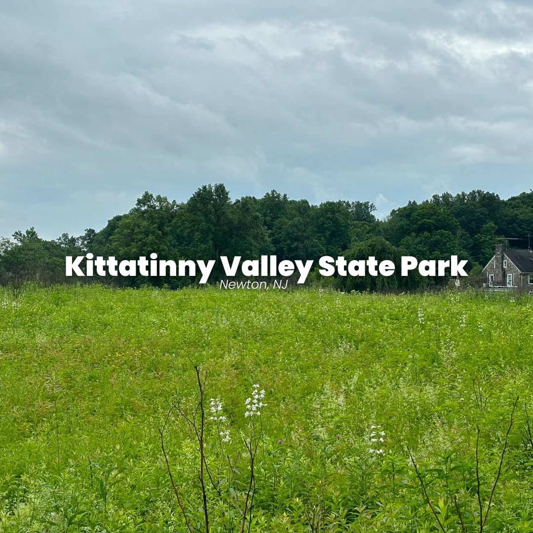 Visit_NJ's tweet photo. Our state parks just hit different...have you got your State Parks Passport yet? 😍⛰️🌲🐚 #VisitNJ #NJStateParks

📷 IG: ayavaldez / azureprojectphotos / chayaseligson / congresshall / njpinelandscommission / olliesm https://t.co/GEhdUvs2G9