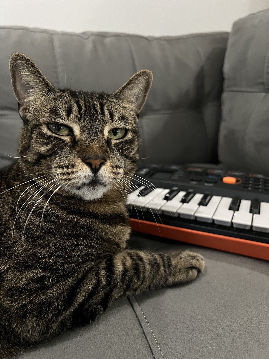 Based morning.

$KEYCAT