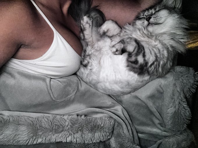 This is how all good morning start! What&rsquo;s your favorite way to wake up?! https://t.co/JdIPWXwEKp<a href="/tag/footfetish"class="tags"><span>#footfetish</span></a><a href="/tag/promo"class="tags"><span>#promo</span></a><a href="/tag/rt"class="tags"><span>#rt</span></a>