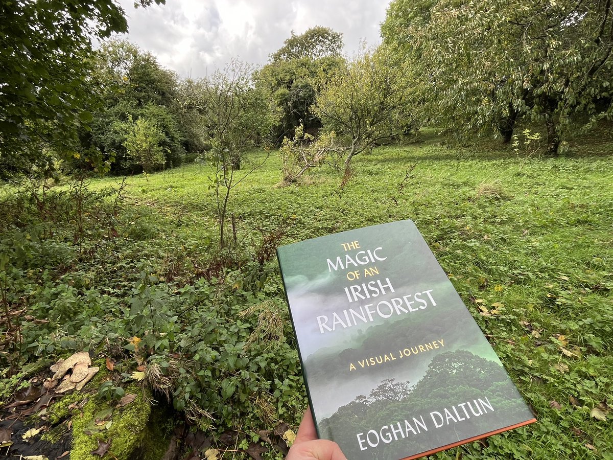 Louise Firth tweet media