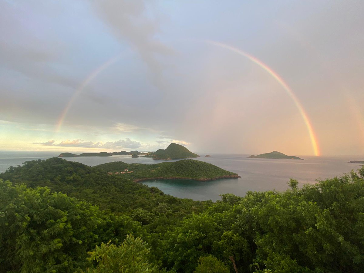 I am delighted to participate in the expedition to the breathtaking Saintes Islands! Incredible biodiversity, matched only by the warmth and energy of the amazing people I have the pleasure of sharing this journey with. arb-guadeloupe.fr/la-planete-rev…