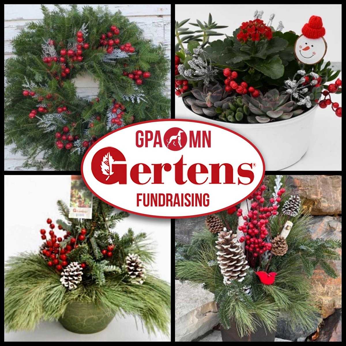This crisp weather has us thinking ahead to the holidays... and our Gertens winter greenery sale is underway NOW! 

Shop here, using store ID 771

gertensfundraising.com/inet/storefron…