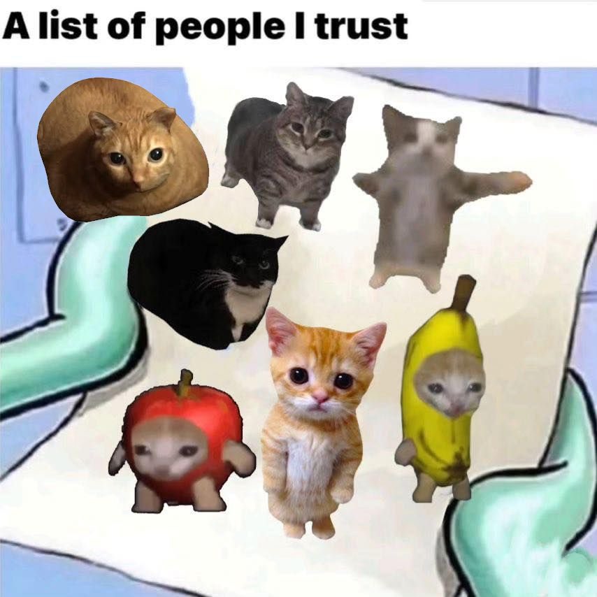 Made my friends have silly cat pfps, but they don't know what the original image is,, and they never will. (they also don't know my twitter alt....hopefully)💀

Cant let them know how I feel fr