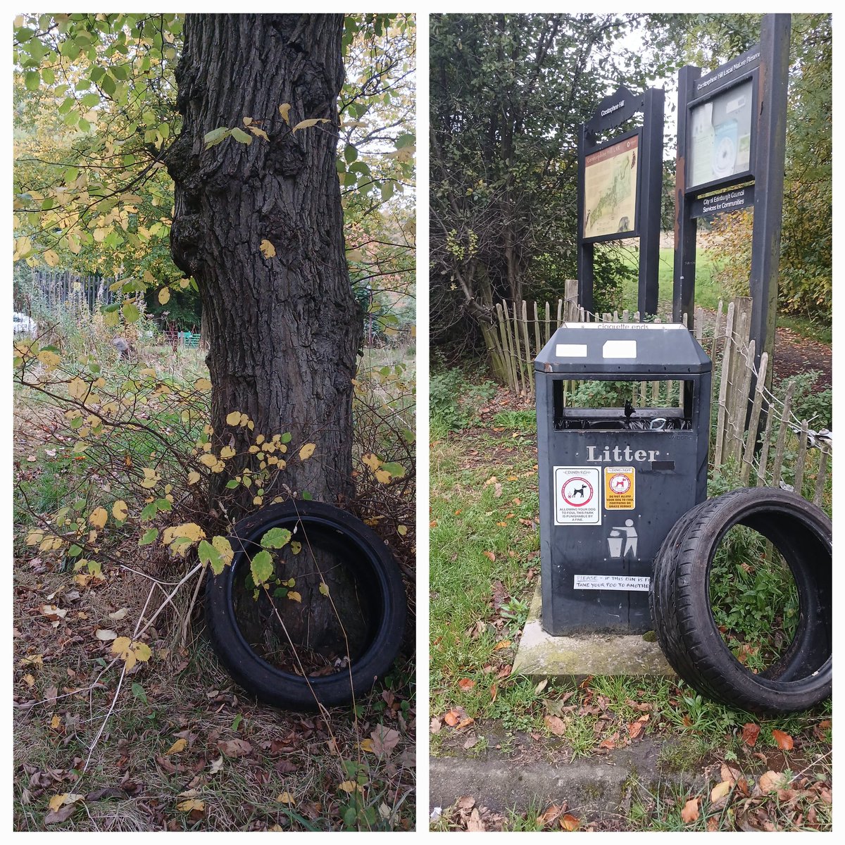 pjayvee38's tweet image. Who dumped that there?! 🚯
Tyre dumped on path #CorstorphineHill trundled over to bin for uplift 
More flytipping at Durar Drive 😒
No litterpicking today, 2️⃣ bags filled yesterday @Royal_High_Sch again...!
Wombles wage, a well battered £1 coin! 💰

#Reported
#ClermistonLitterati