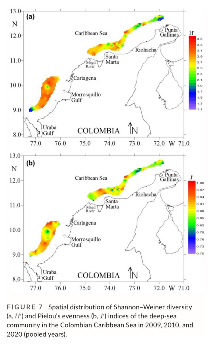 j_paramog's tweet photo. Biodiversidad vs extracción de gas en aguas profundas del Caribe colombiano 🤔 https://t.co/ukN3eTW8Pb