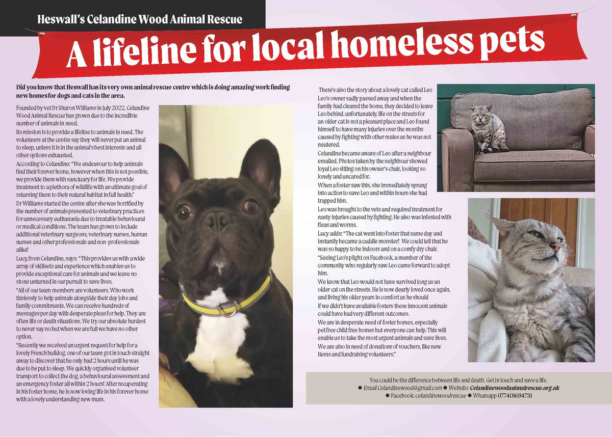 Heswallcom tweet media