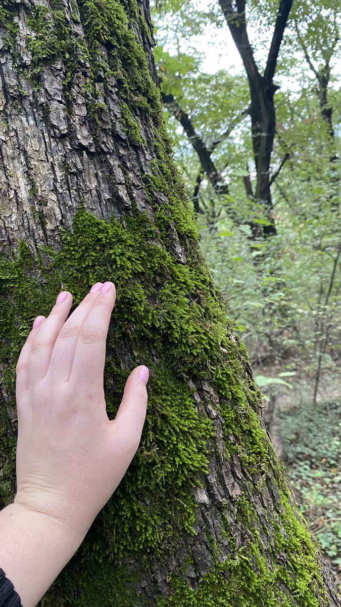 Трогала мох в лесу по заветам <a href="/Golubtsova/">Ањ в шляпе</a>