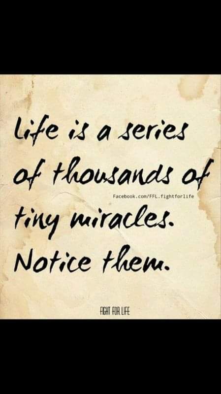 Collett Dawson tweet media