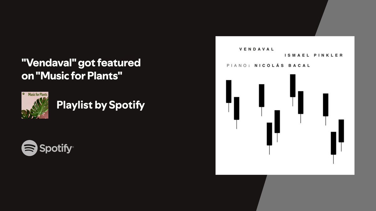 Static Discos ⚪ tweet media