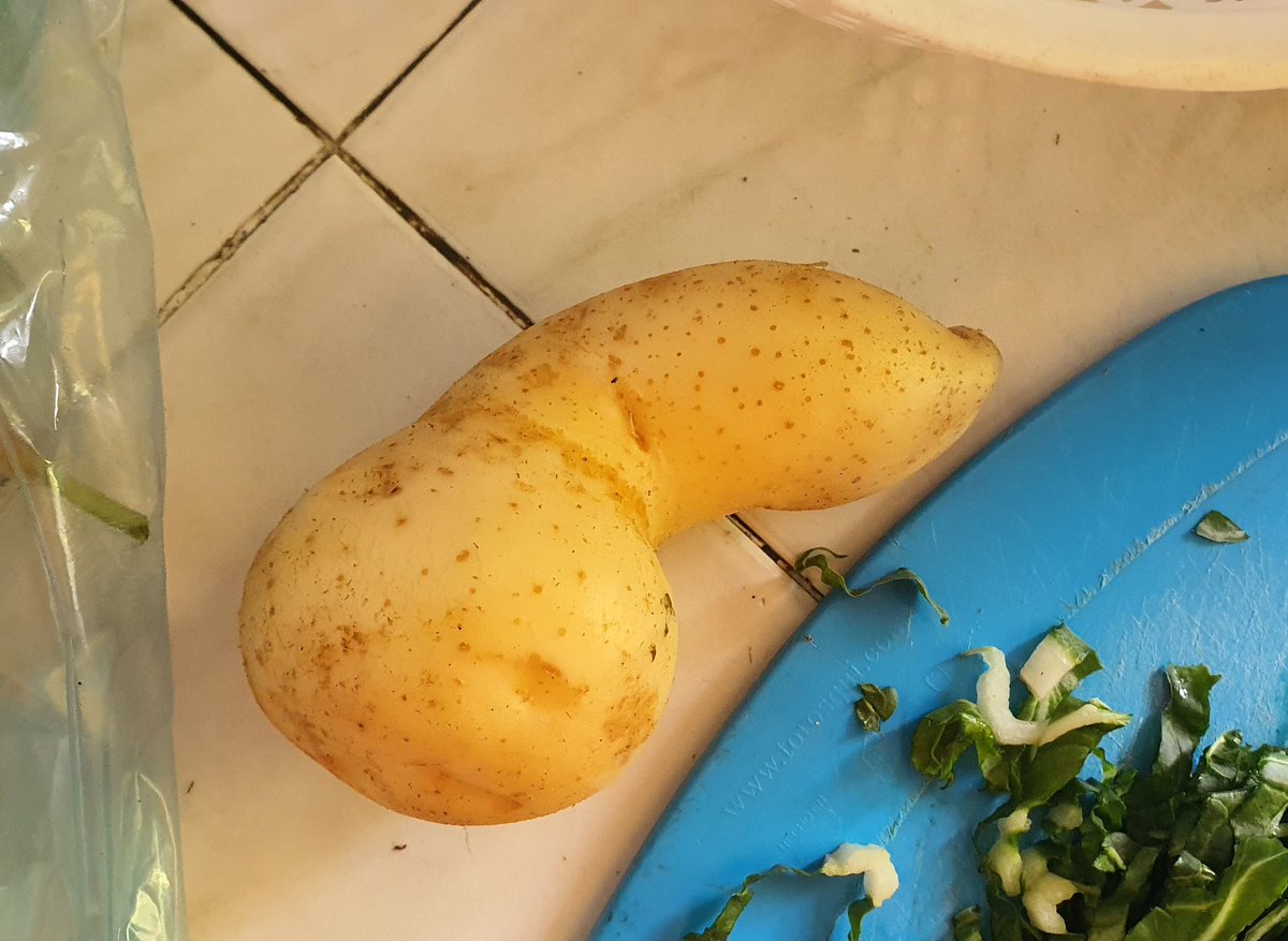 Jaja a la madre lo que me encontré
#humor #Papa