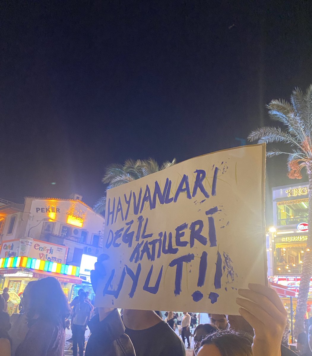 #ilkbaluzuner
#Aysenurhalil
 #Antalya