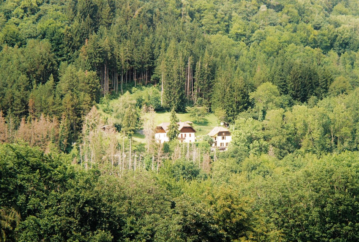 gracelamenace's tweet image. by me 🌳