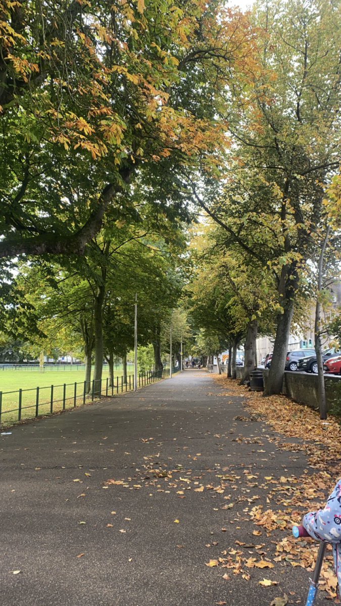 Michelleg1llen's tweet image. #aimfor150
#studentheartsmart
#ASMOSUSresource
@LCreightonRN
Autumn on the mall is my favourite time of year, the smell and crunch of the fallen leaves is just best 🍂 Plenty of time spent here over the next few weeks, and of course we cant go home without the conkers 🌰