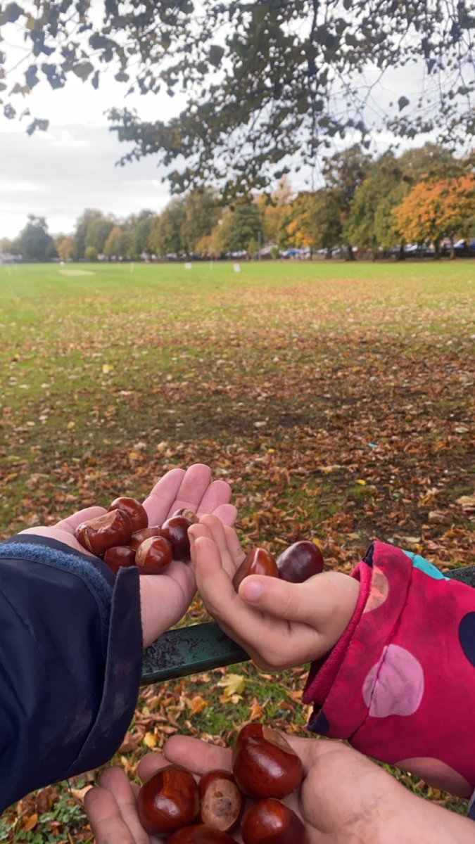 Michelleg1llen's tweet image. #aimfor150
#studentheartsmart
#ASMOSUSresource
@LCreightonRN
Autumn on the mall is my favourite time of year, the smell and crunch of the fallen leaves is just best 🍂 Plenty of time spent here over the next few weeks, and of course we cant go home without the conkers 🌰