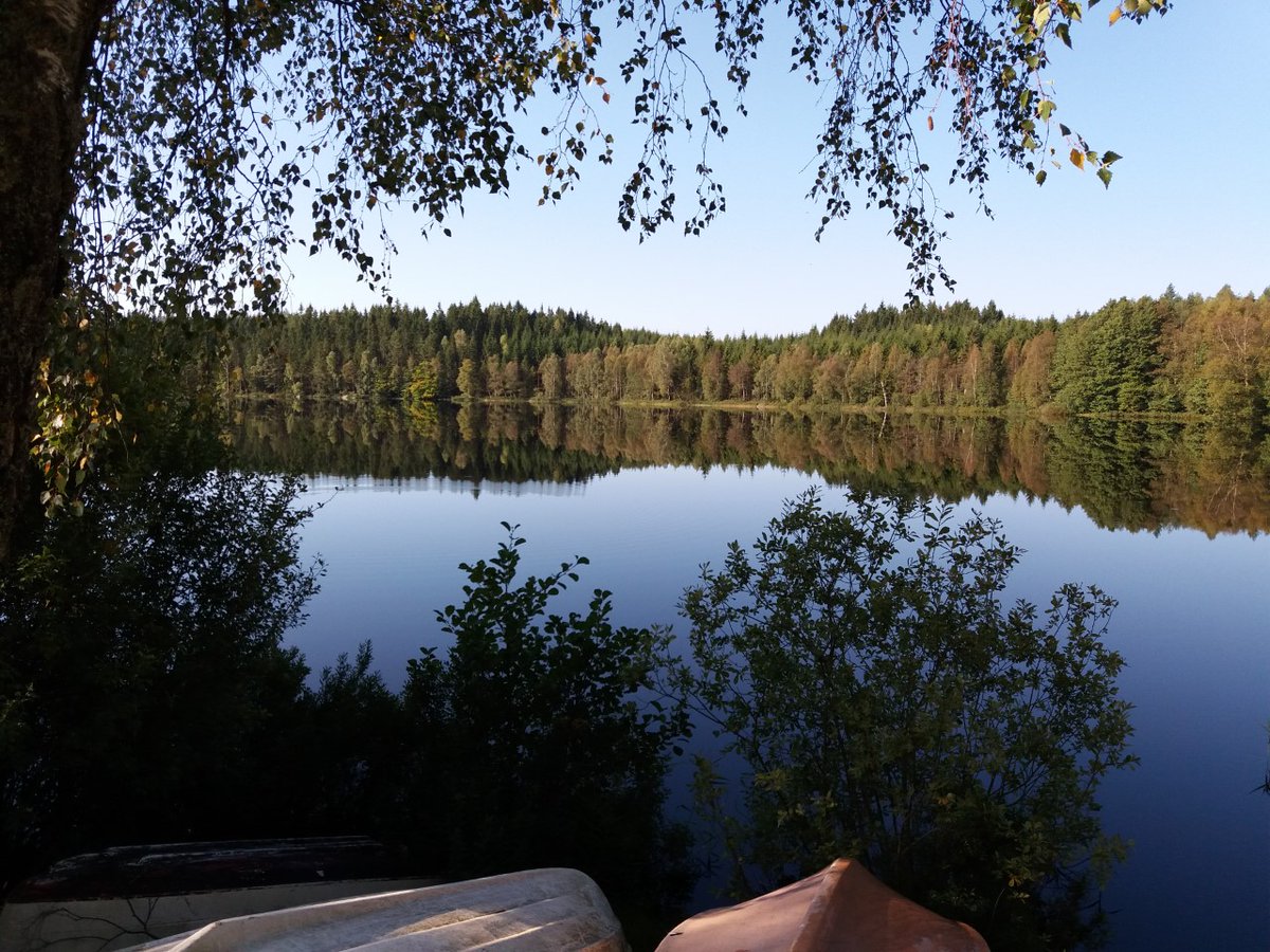 lundgre1's tweet photo. Här är det (oftast) #tyst och jag älskar att vara här på vårt smultronställe. #höstpåminplanet https://t.co/laHnQ5zr3M