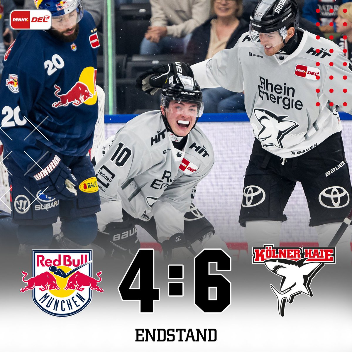 Kölner Haie tweet media