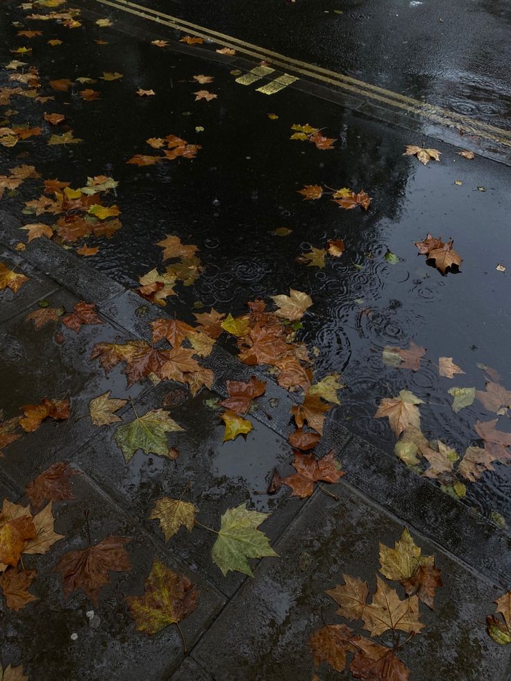 autumn girl tweet media