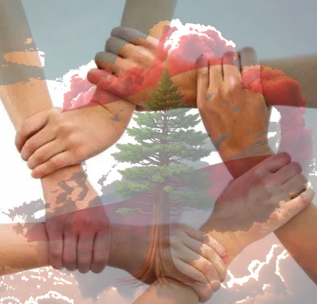 لتجتمع قلوبنا لنخفف المحن ولتجتمع  سواعدنا  لنبني الوطن ،  لاننا لن نجد ارحم من قلوبنا على بعضنا وأقوى من سواعدنا مع بعضنا . 
لبنان وطن الحياة ونحن نعشق لبنان ونحب الحياة .