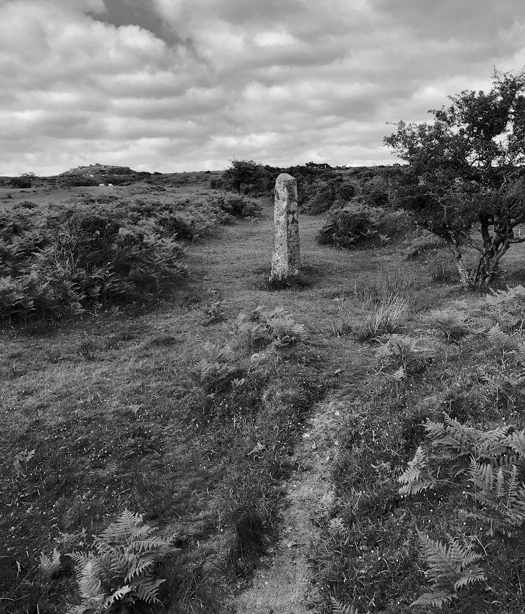 HooklandGuide's tweet photo. Whenever some pisspuffin starts up with nonsense about the irrelevance of studying standing stones, I just think about the desire paths carved into a hundred moors to reach them. No-one walks miles in the English rain for an irrelevance pal. – Dr. K. Brophy #StandingStoneSunday https://t.co/CMvSqb75Qa