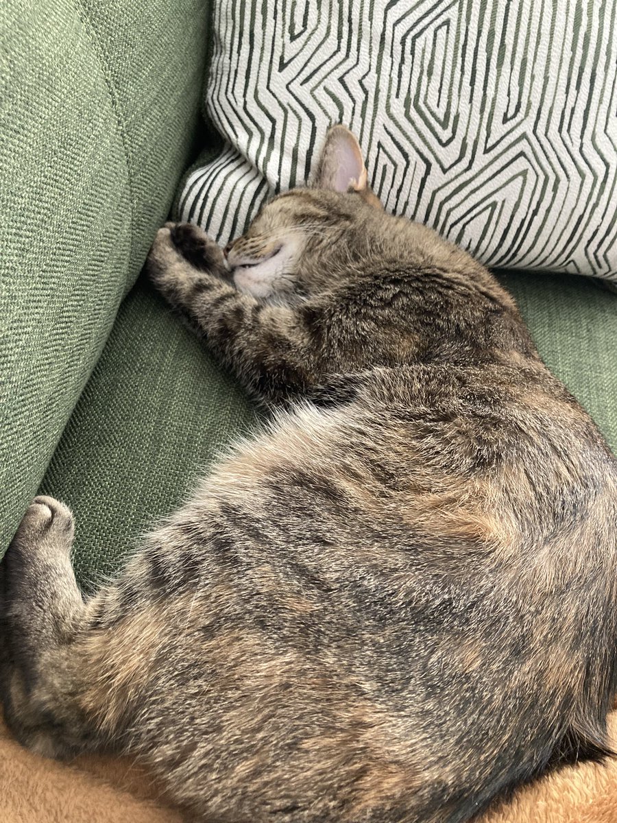 Sleepy on a Sunday afternoon