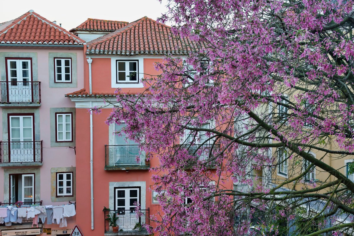 WorldRider tweet media