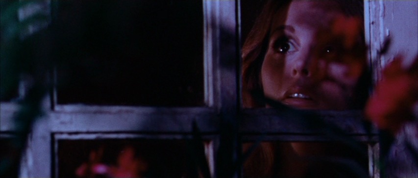 PlazaAtlanta's tweet image. Plazadrome presents MESSIAH OF EVIL (1974) in 35mm Thursday, 10/17 at 9pm! Recently restored by Radiance Films, this Lovecraftian horror gem delivers synth chills, grisly bloodshed, and surreal visuals. Written by the creators of American Graffiti &amp;amp; Temple of Doom.🎟️link in bio