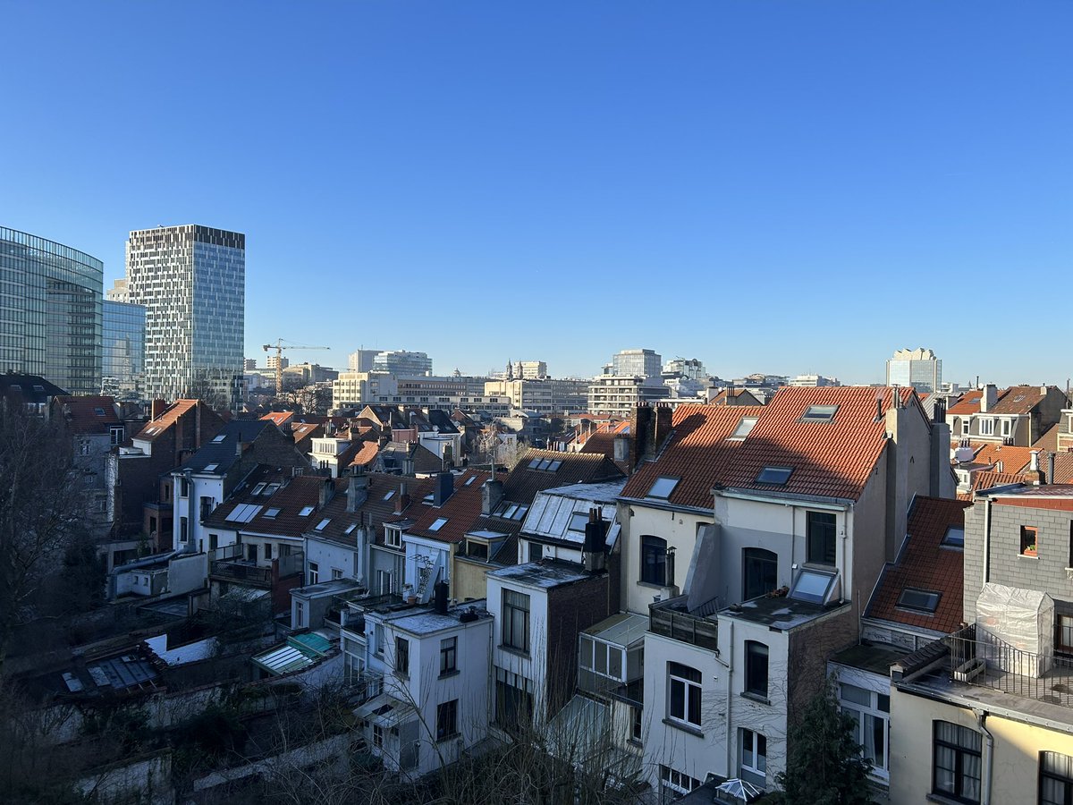 Tue David Bak tweet media