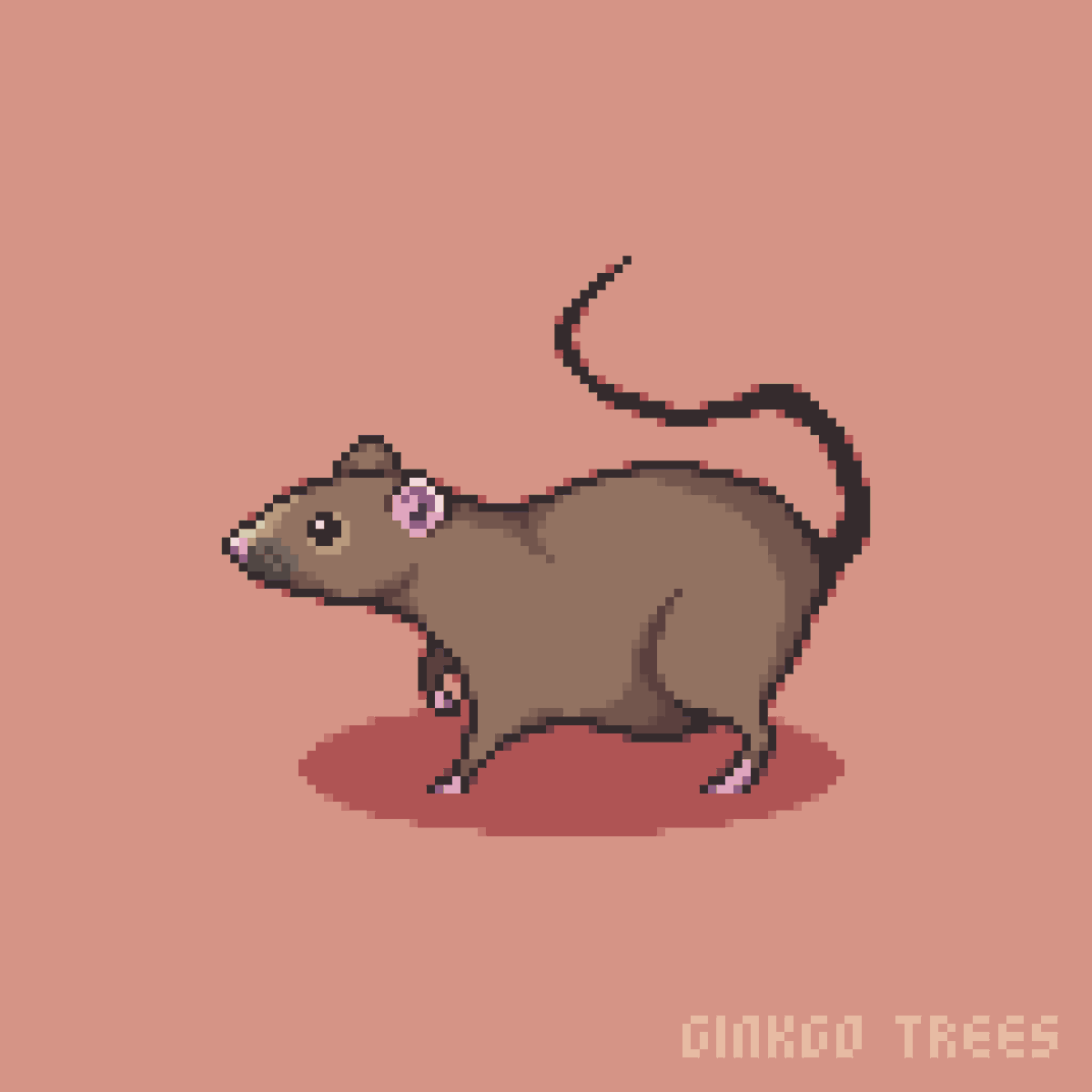 MrGinkgoTrees's tweet photo. @artofpip So far I'm most proud of this rat I drew. I knew it was decent when my cat jumped on my desk and tried pawing at it. https://t.co/xvceS7UNBr