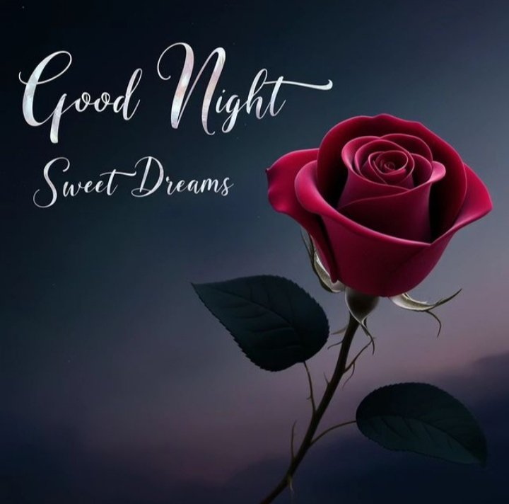 Good night💤💤 #goonight #GoodNightTwitterWorld #GoodNightEveryone
