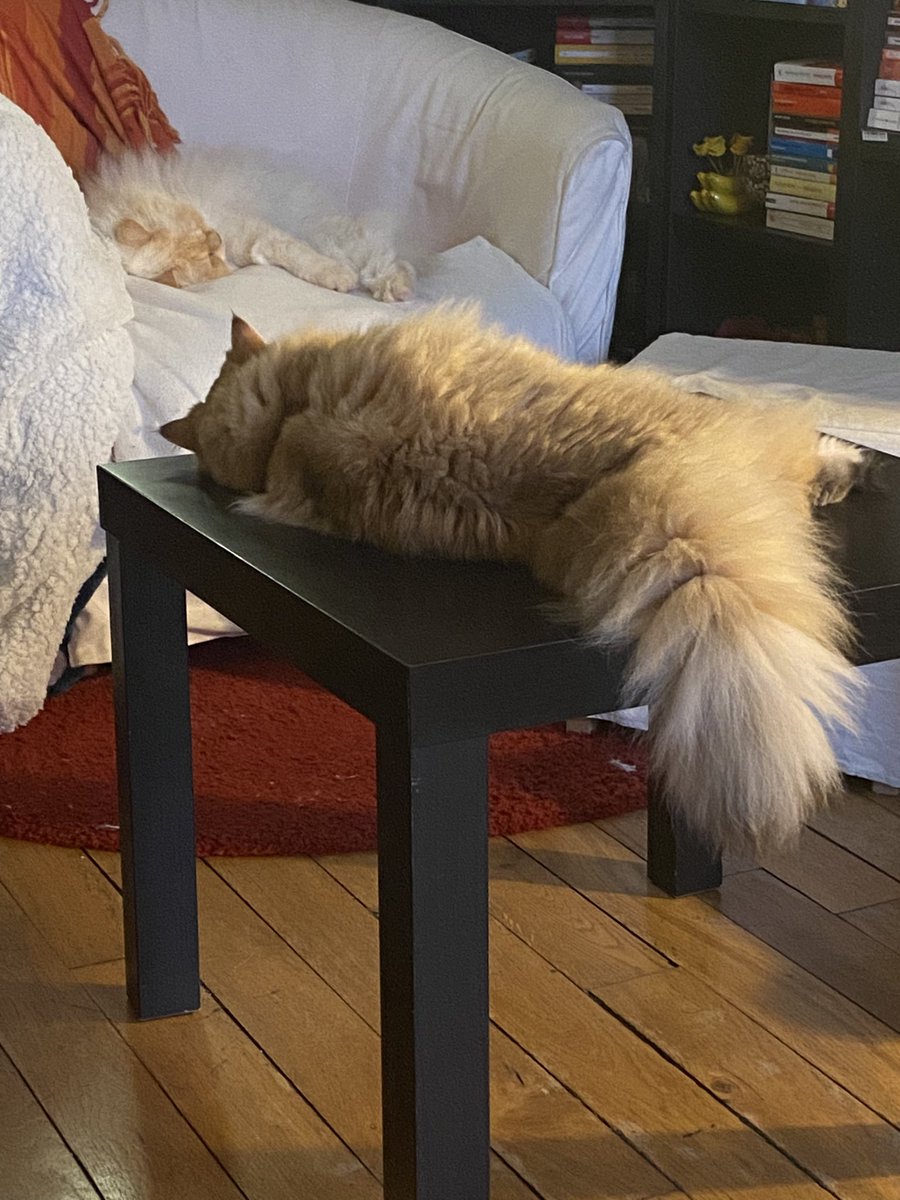 Un dimanche très actif