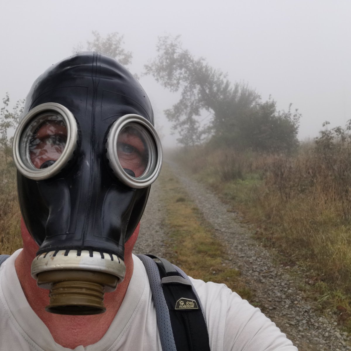 14km bei schönsten, neblig trüben Wetter gewandert, geil war's 👍🏼