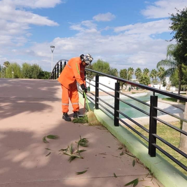 🌳 El Bosque Urbano te espera para que disfrutes de un agradable domingo en familia 👪 

Ayúdanos a conservar las instalaciones limpias durante tu visita, deposita la basura en su lugar 🗑 

#TorreónSiemprePuede 💪