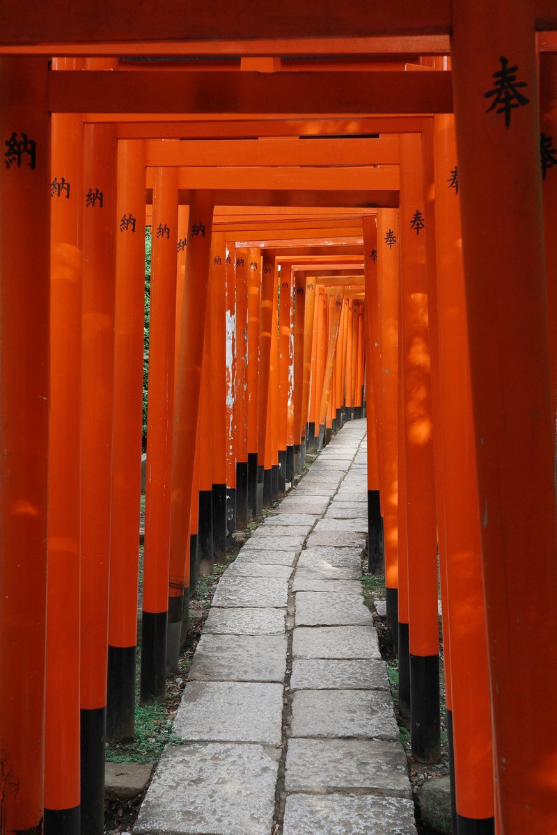 Etienne Desclides tweet media