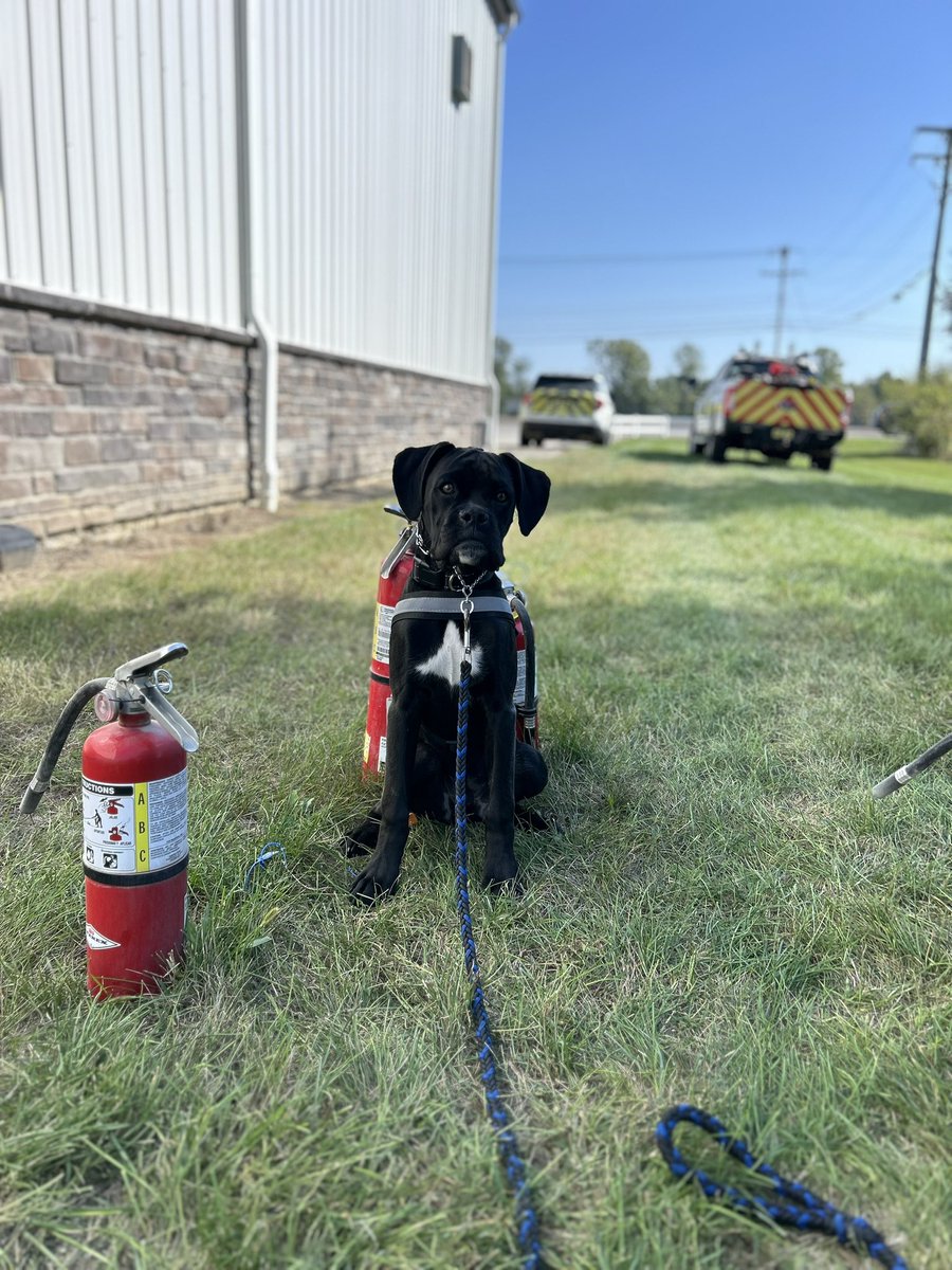 FCSO Therapy K9 (@fcsotherapyk9) on Twitter photo SUNDAY FUNDAY! Deputy Kennedy & TK9 Mando and Deputy Eads helped Norwich Township FD! Deputy Robinson, TK9 Sunny and Deputy Arp were at A Kid Again Event. We are so honored to work in a community where we are truly better together! <a href="/OHFCSO/">Franklin County Sheriff’s Office</a> SUNDAY FUNDAY! Deputy Kennedy & TK9 Mando and Deputy Eads helped Norwich Township FD! Deputy Robinson, TK9 Sunny and Deputy Arp were at A Kid Again Event. We are so honored to work in a community where we are truly better together! <a href="/OHFCSO/">Franklin County Sheriff’s Office</a>