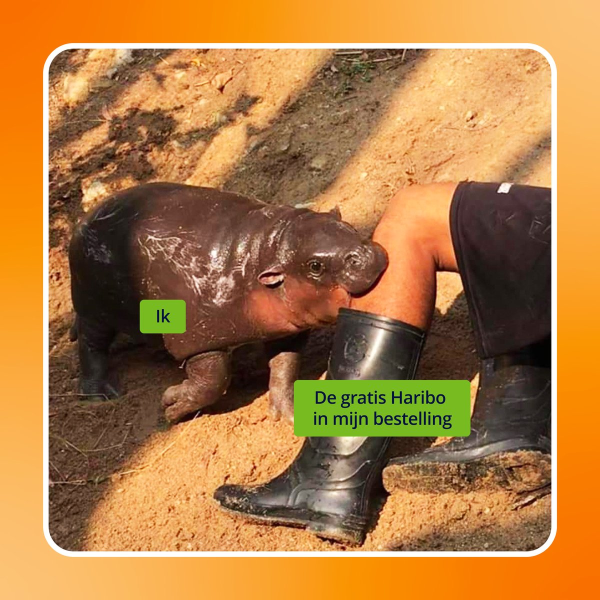 De ECHTE reden waarom onze klanten altijd uitkijken naar de dag dat hun lenzen worden bezorgd...