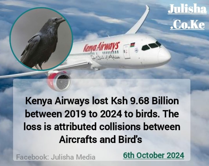 Goddie_Ke's tweet photo. Kenya Airways lost Ksh 9.68 Billion between 2019 to 2024 to birds. The loss is attributed collisions between Aircrafts and Bird's https://t.co/DUhI06VlxA