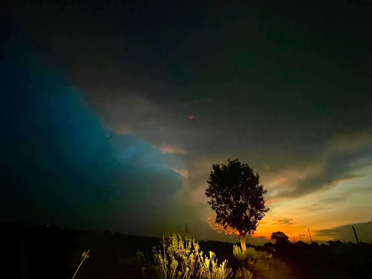 ParweenF1's tweet image. 