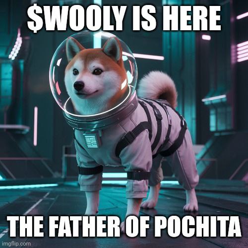 @Matt___Stewart <a href="/Sartoshi0x/">Wookiee Ai 🌕🌖🌗🌘🌑🌒🌓🌔🌕</a> <a href="/WOOLYCTO/">Wooly, Pochita's Dad</a>