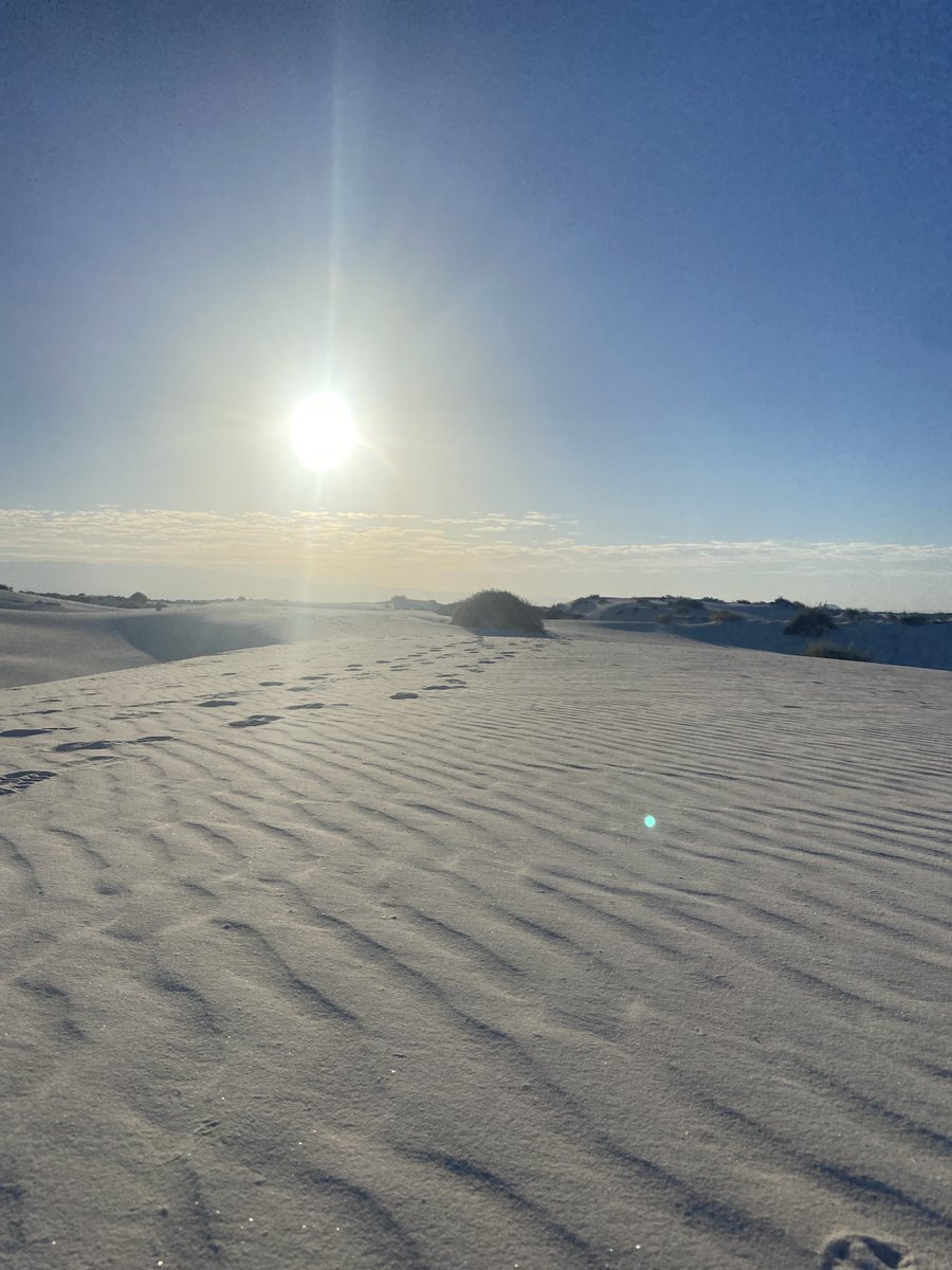 Ben Rikard (@benrikard) on Twitter photo Heading back to Pine Tree Country today, but made one last pit stop at <a href="/WhiteSandNps/">White Sands National Park</a> before heading to the airport.
Stunning environment when you’re there in person.
National Park No. 16 in the book ✅ Heading back to Pine Tree Country today, but made one last pit stop at <a href="/WhiteSandNps/">White Sands National Park</a> before heading to the airport.
Stunning environment when you’re there in person.
National Park No. 16 in the book ✅