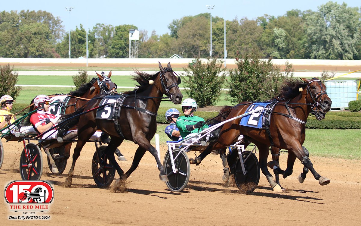 Red Mile Racetrack tweet media