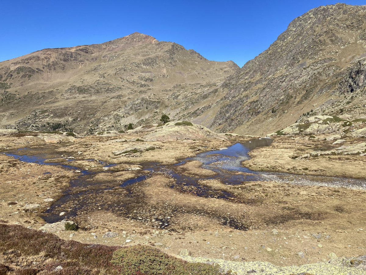 Carolina Olid tweet media