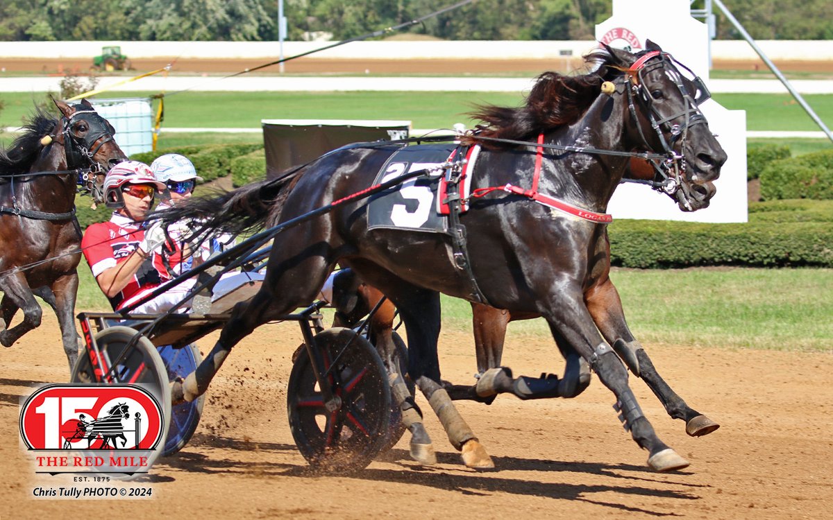 Red Mile Racetrack tweet media