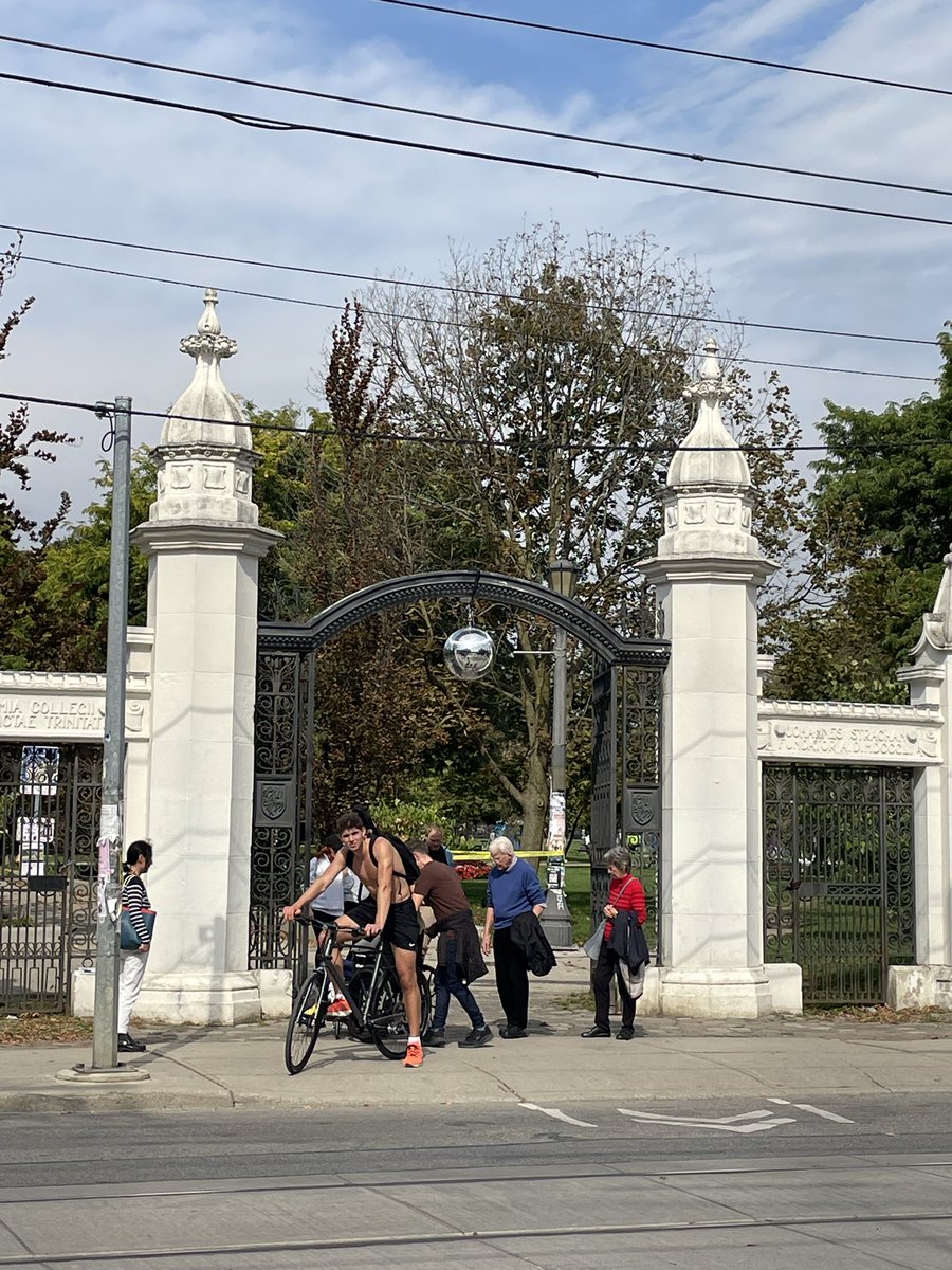 Whoever put this 🪩 up in <a href="/FriendsofTriBel/">Trinity Bellwoods Park</a> <a href="/TrinityBellwood/">Trinity Bellwoods & Park</a> is awesome.

*cue up some Earth Wind and Fire music 🔥✨🕺🏼💃🏽