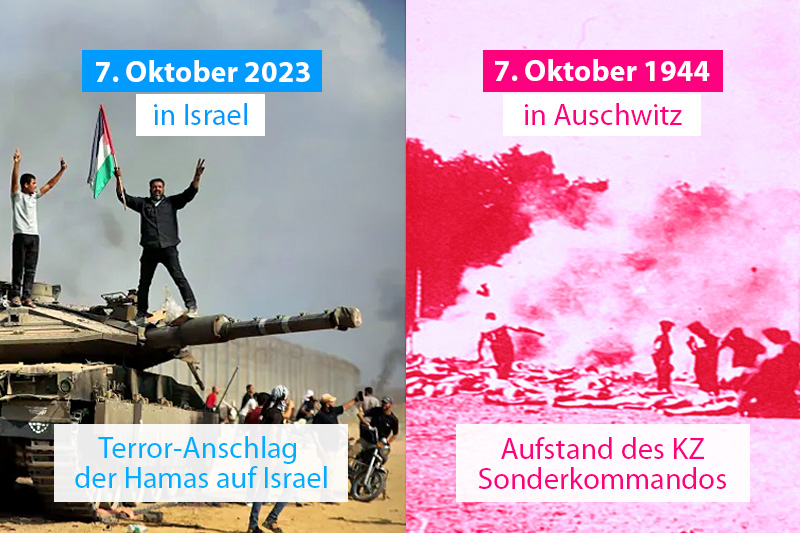 IAK Berlin tweet media