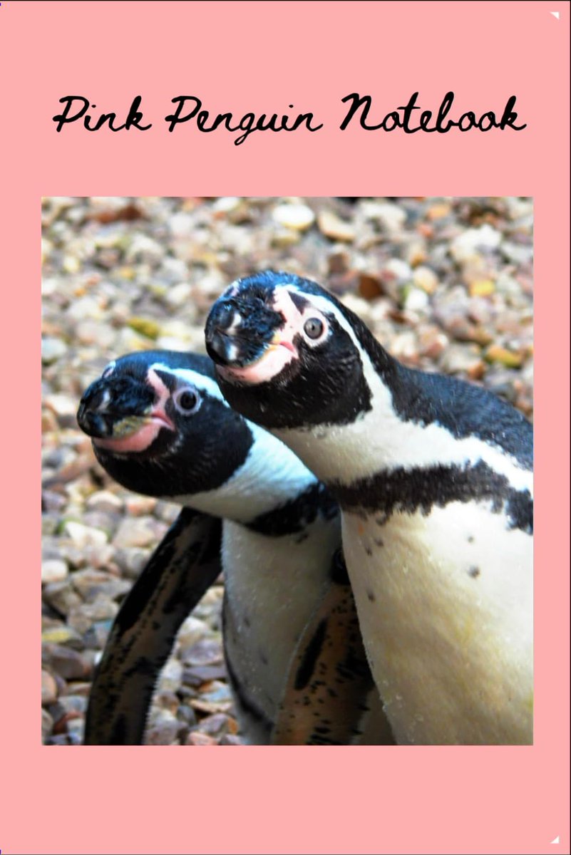KarenLNHollis's tweet image. Check out my #notebooks #journals #notepads #stationery on Amazon - paperback, 120 pages, lined, with pictures or paw prints, hearts etc on each page. Featuring #dogs #meerkats #staffy #frenchie #bulldog #penguin #penguins Front cover photos taken by me. Great for #Christmas