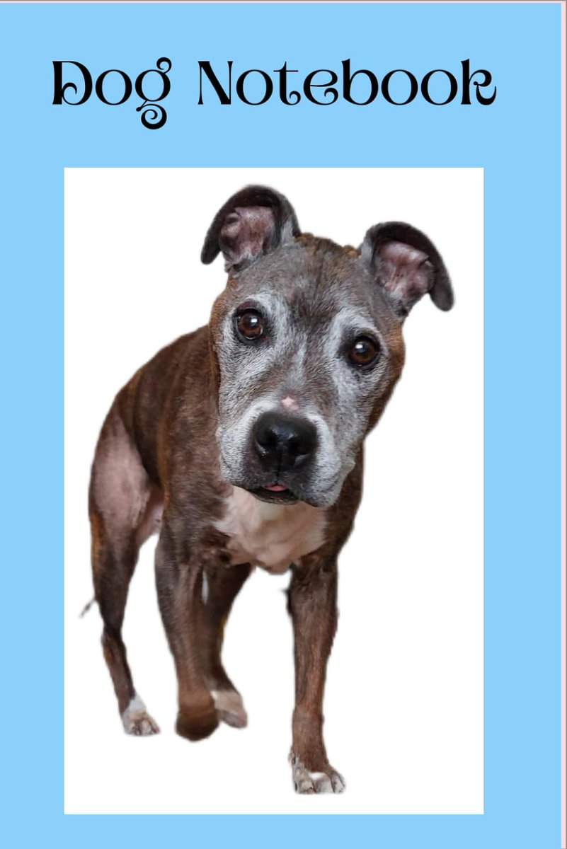 KarenLNHollis's tweet image. Check out my #notebooks #journals #notepads #stationery on Amazon - paperback, 120 pages, lined, with pictures or paw prints, hearts etc on each page. Featuring #dogs #meerkats #staffy #frenchie #bulldog #penguin #penguins Front cover photos taken by me. Great for #Christmas