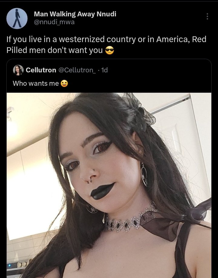 ManWalkingAway's tweet photo. And the numbers of Red Pilled men are growing with no end in sight. There's M G T O W, Passport Bros (Kings), Soft Guy Era, &amp; MWA (who are Men With Alternatives) https://t.co/ZQGSARjsOR